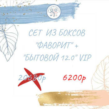 Sет "Бытовой 12.0" VIP + "Фаворит" ( 28 продуктов, 221р за продукт) январь