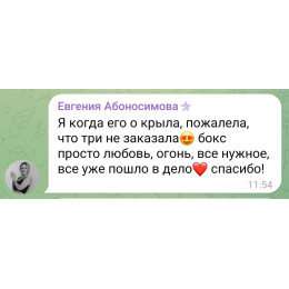SET "Зелёный дом" + "Бытовой" (19 средств)  - август